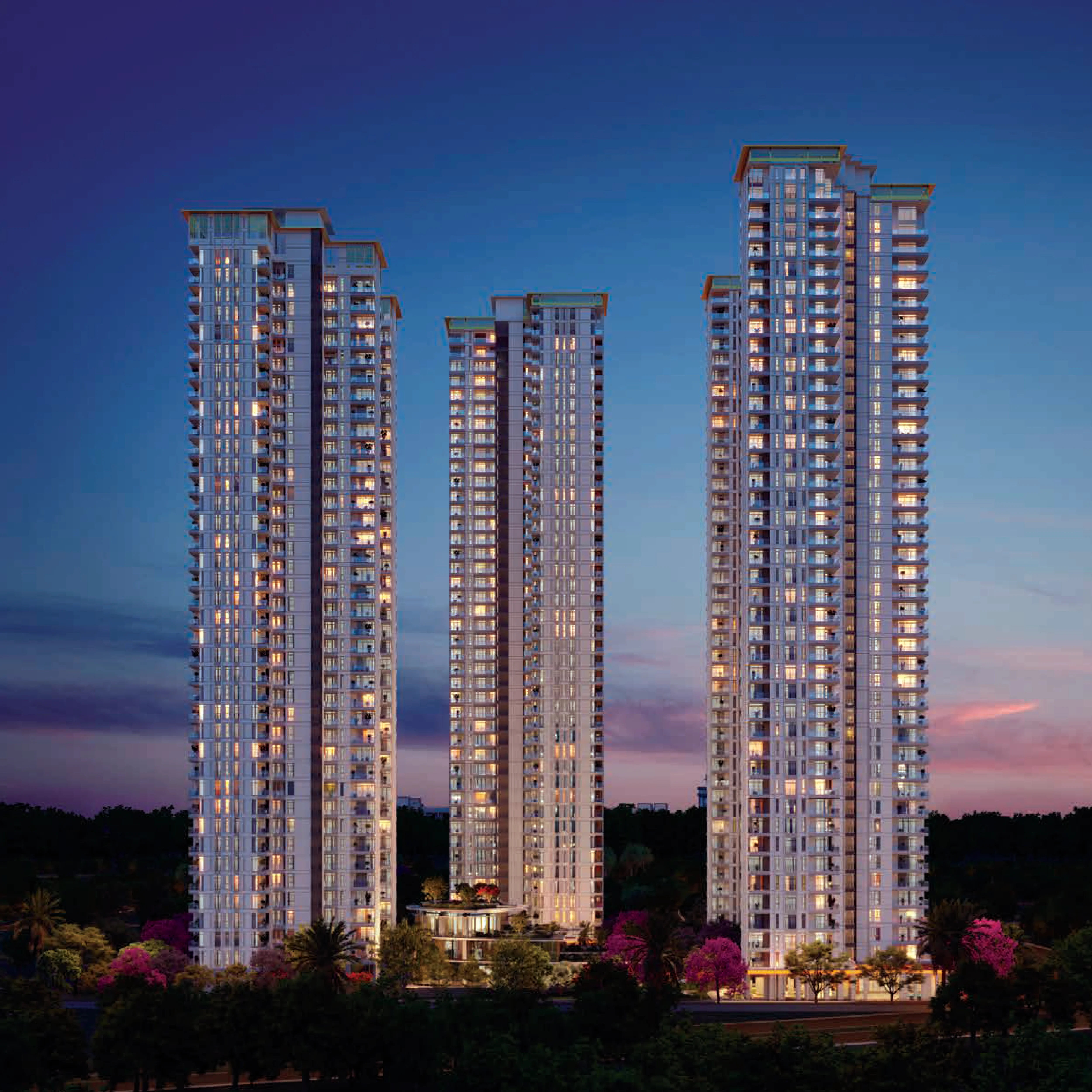 DELUXE DXP Commercial