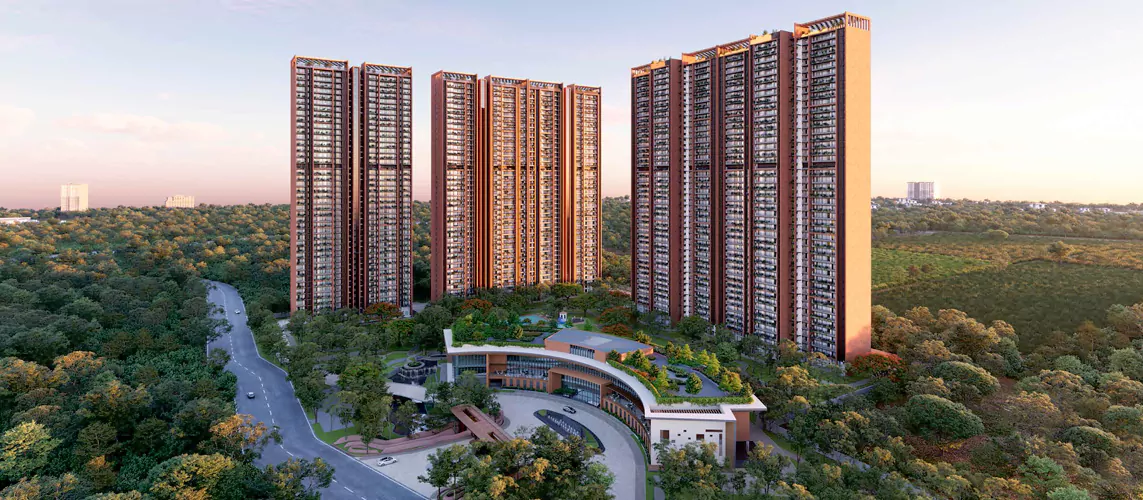 DELUXE DXP Commercial