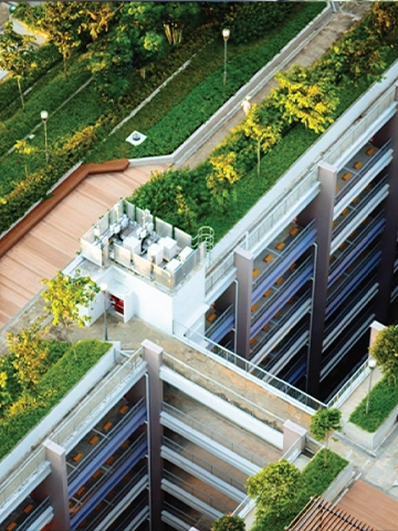 Tropical Modern Architecture 2