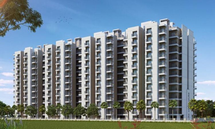 Wal Verde 92 - Image 2