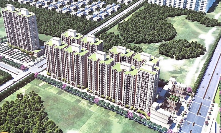 Wal Verde 92 - Image 2