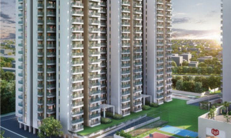 Wal Verde 92 - Image 2